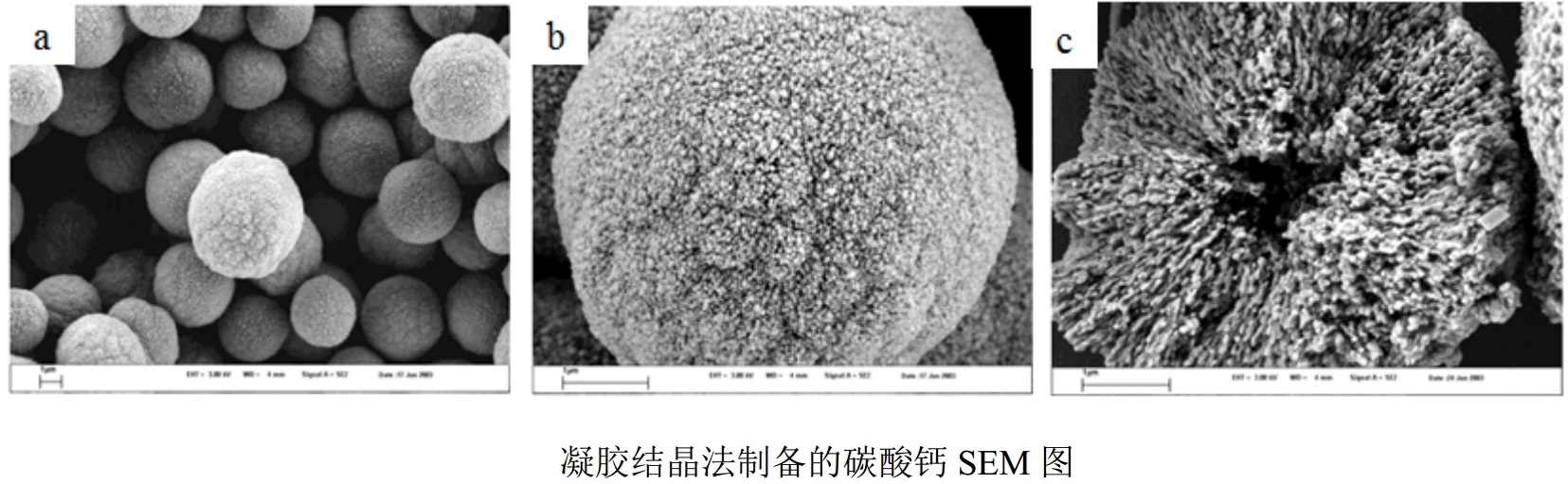 多孔碳酸鈣制備技術(shù)及最新研究進(jìn)展
