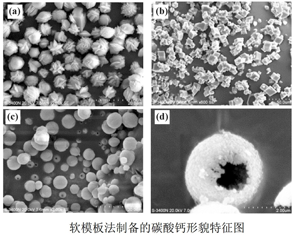 多孔碳酸钙制备技术及最新研究进展