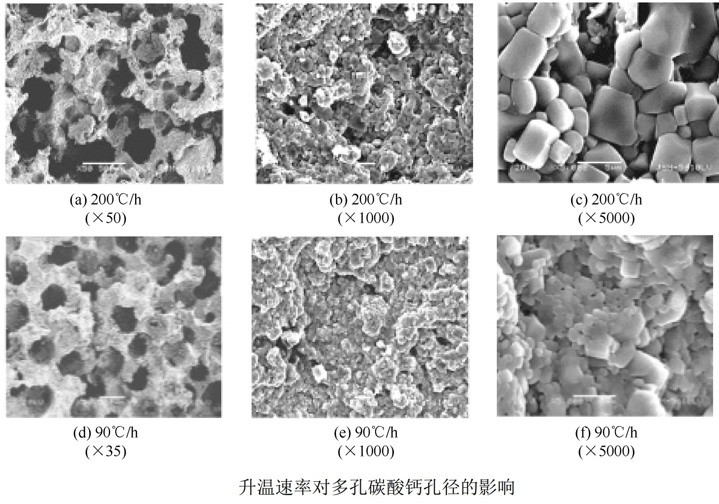 多孔碳酸鈣制備技術(shù)及最新研究進(jìn)展
