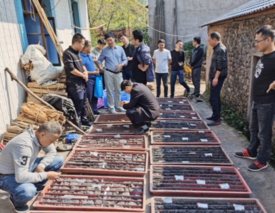 资源量800万吨，江西上饶市广丰区杨村矿区黑滑石矿岩里矿段勘探项目通过验收