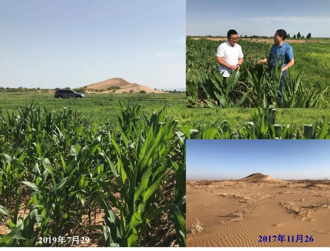 十年磨一剑：西北师大雷自强教授课题组成功研制出土基防蒸发材料