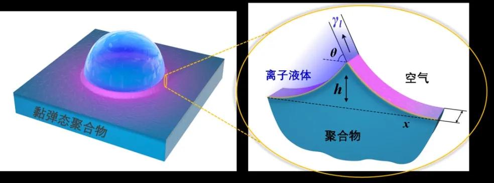 刷新认知!高分子塑料表面原来呈橡胶状