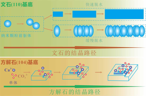 广州地化所文石与方解石晶面矿物学研究取得进展 　　 　　　 　　