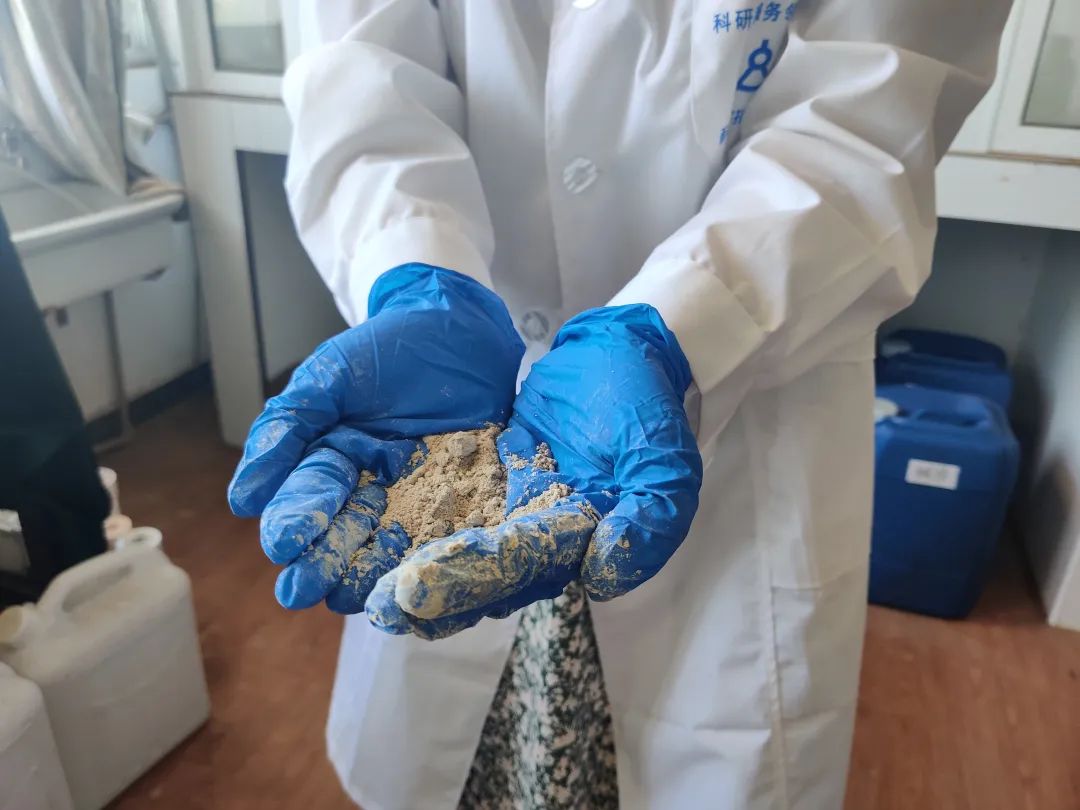 湘潭大学丁燕怀团队开发出海泡石止血材料 　　