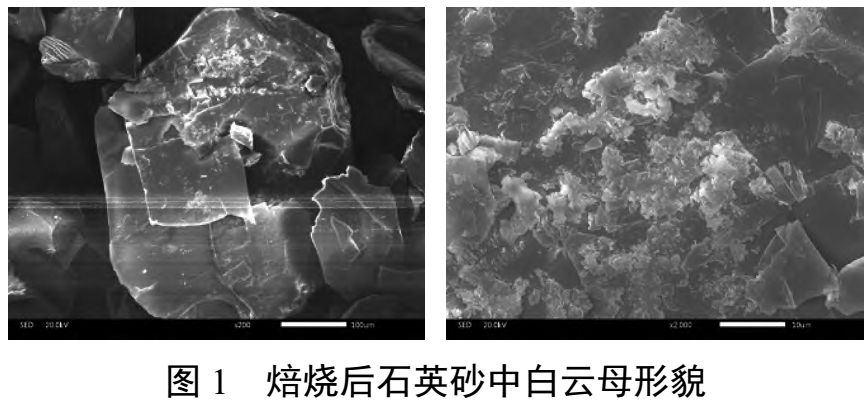 【技术】高纯石英中微量、微细粒铝硅酸盐矿物的活化与分离技术 　　 　　