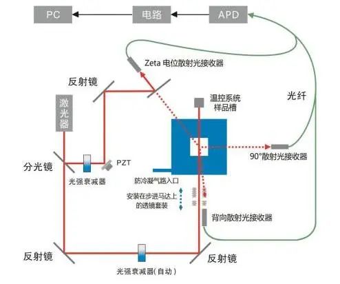 【资讯】丹东百特荣获国家专精特新“小巨人”企业称号