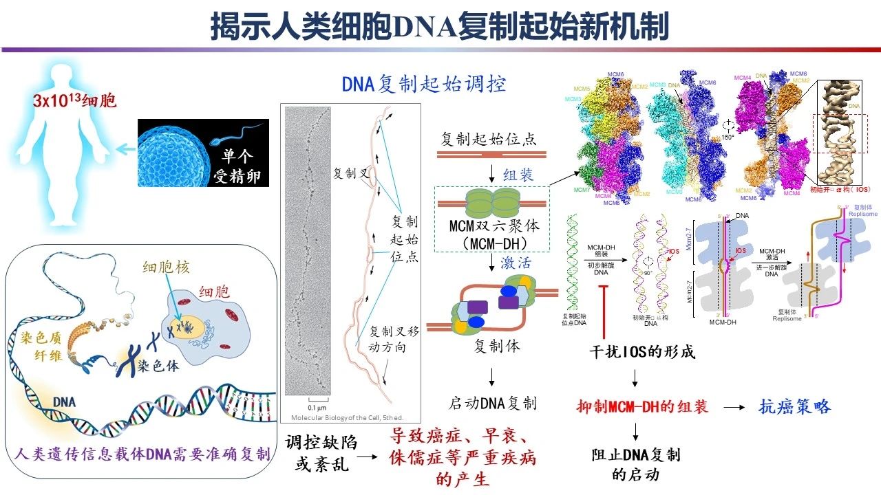 重磅!2023年度中国科学十大进展发布