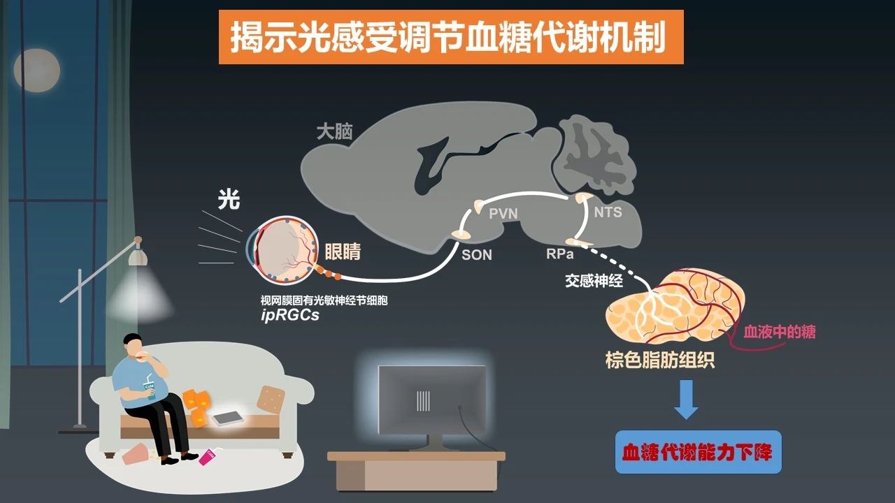 重磅!2023年度中国科学十大进展发布