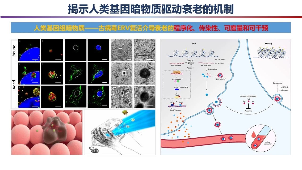 重磅!2023年度中国科学十大进展发布