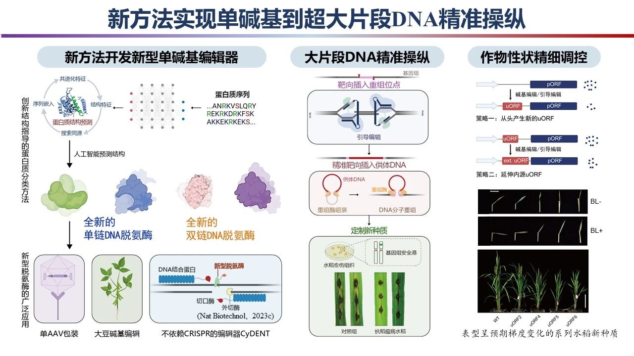 重磅!2023年度中国科学十大进展发布