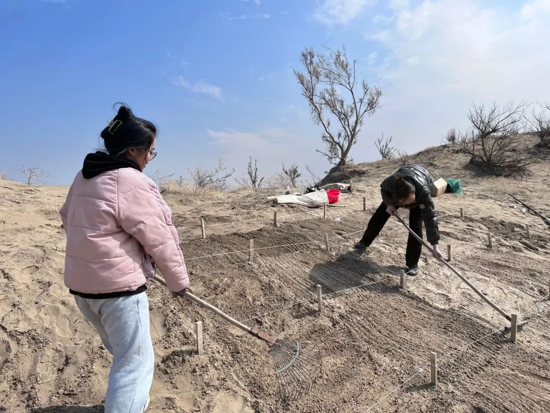 研发成功，膨润土固沙和生态治理新技术 　　 　　