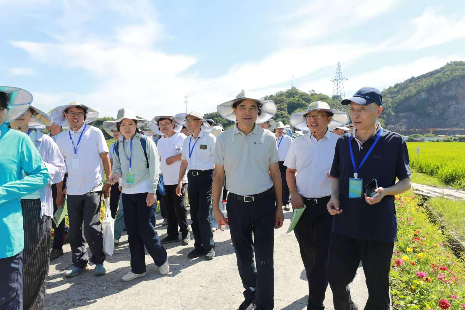 膨润土变身除草剂,稻田杂草防控获得技术突破
