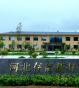 打造石英砂行业标杆——专访河北存信新材料实业有限公司总经理张亮