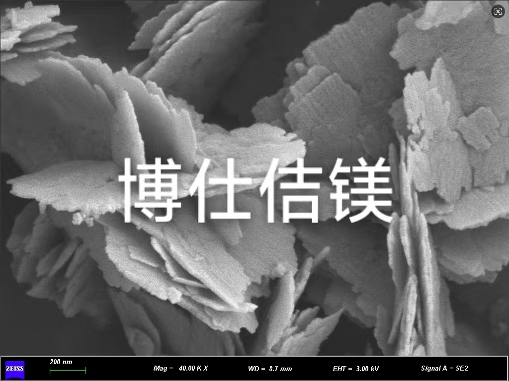 专访辽宁博仕佶镁崔玮琳博士：让中国菱镁矿，不再为他人作嫁衣裳  