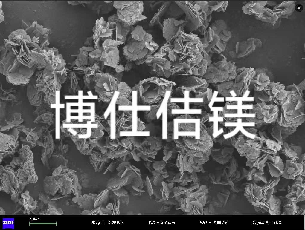 专访辽宁博仕佶镁崔玮琳博士：让中国菱镁矿，不再为他人作嫁衣裳  