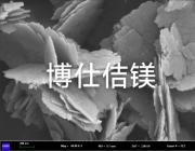 专访辽宁博仕佶镁崔玮琳博士：让中国菱镁矿，不再为他人作嫁衣裳