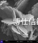专访辽宁博仕佶镁崔玮琳博士：让中国菱镁矿，不再为他人作嫁衣裳
